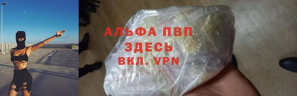 дживик Алексин